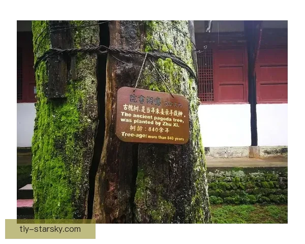 库巴西仰望三代铁卫风骨传奇录