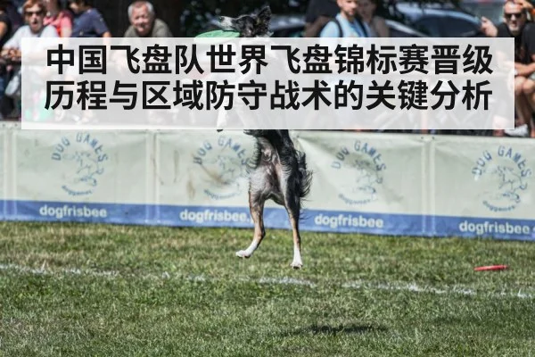 中国飞盘队世界飞盘锦标赛晋级历程与区域防守战术的关键分析